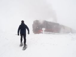 El mundo en imágenes del 12 de diciembre de 2018