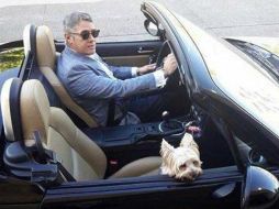 La fotos de #LordMinistro se viralizaron en pleno conflicto entre el Poder Judicial y los poderes de la Unión y el Ejecutivo por la aplicación de la Ley de Remuneraciones. ESPECIAL