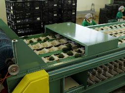 El presidente en Occidente del COMCE considera que, en materia económica, el 2019 será un año “más estable, esperemos que se firme el nuevo T-MEC para tener mayor estabilidad