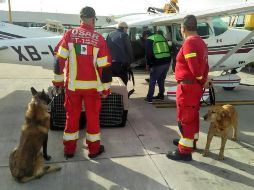 El Comandante Federico García García y los canes 