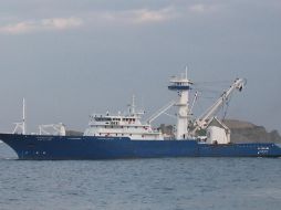 La SE y la Sader afirman que la flota atunera mexicana protege a los delfines y evita pescar atunes juveniles. EL INFORMADOR/Archivo