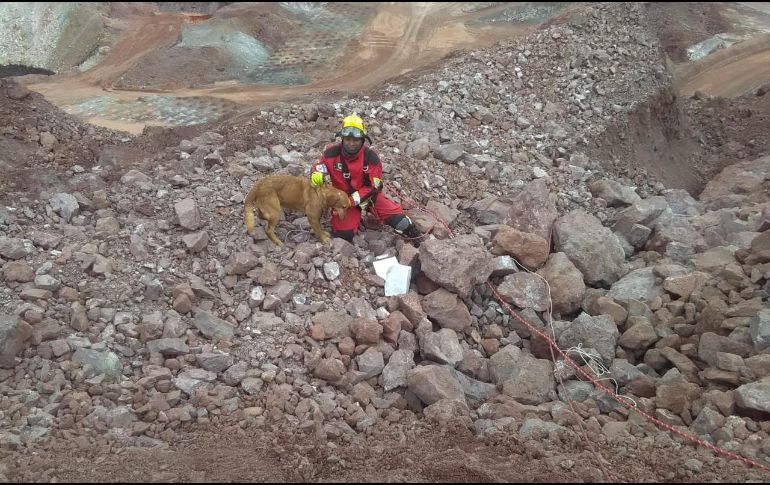 “Puppy” y su entrenador, el oficial Alfredo Nava. ESPECIAL / Protección Civil Jalisco