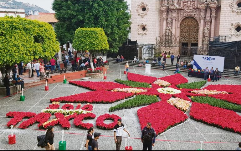 Este bello trabajo tuvo cerca de 12 horas de elaboración con ocho mil plantas de seis colores. NOTIMEX