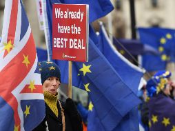 Activistas pro-UE se manifiestan a las puertas del Parlamento. El Gobierno británico decidió dar 