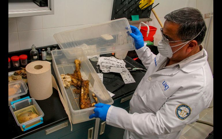 Alejandro Hernández-Cárdenas realizó pruebas hasta obtener una solución mejorada para la rehidratación de cadáver.