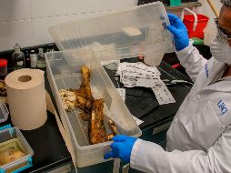 Alejandro Hernández-Cárdenas realizó pruebas hasta obtener una solución mejorada para la rehidratación de cadáver. AFP/H. Martínez