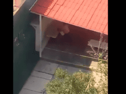 Al darse cuenta de la agresión, una de las mujeres gritó: 