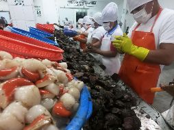 En Jalisco, menos del 2% de los trabajadores está inscrito con el salario mínimo. AFP/C. Bouroncle