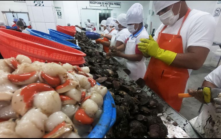 En Jalisco, menos del 2% de los trabajadores está inscrito con el salario mínimo. AFP/C. Bouroncle