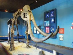 De paseo por los museos