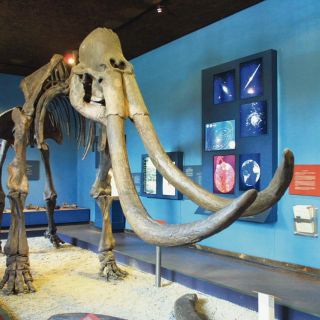 De paseo por los museos