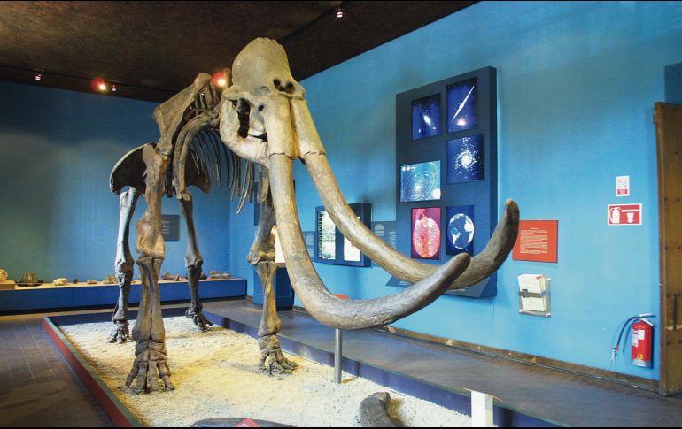 De paseo por los museos