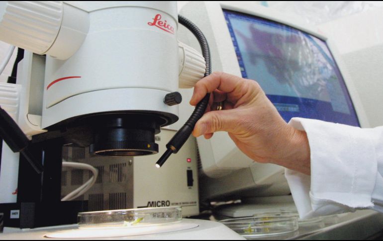 El clúster médico o de biotecnología será una de las apuestas para mejorar las cifras de la Entidad. EL INFORMADOR