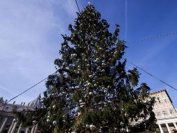 La señal será puesta a disposición de todos los operadores televisivos internacionales conectados vía satélite al circuito EBU. EFE / A. Carconi