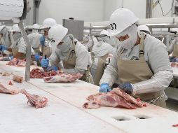 El permiso para traer el país este alimento se abrió porque el consumo crece a mayor ritmo que la producción. EL INFORMADOR/ARCHIVO