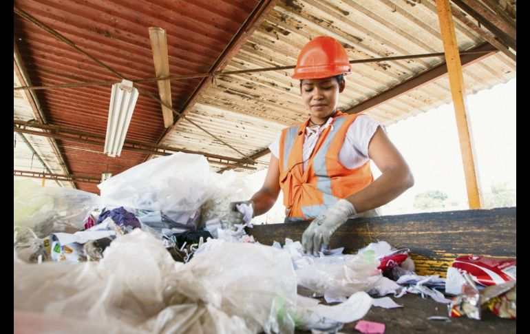 El correcto desecho de los plásticos beneficia a la industria y a la ecología. EL INFORMADOR