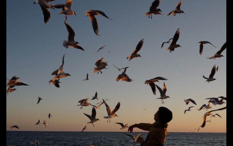 Un niño alimenta gaviotas en una playa de la ciudad francesa de Niza. AFP/V. Hache