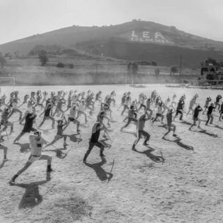 "Roma" buscará mañana los primeros premios del 2019