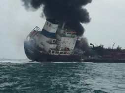 El mundo en imágenes del 8 de enero de 2019