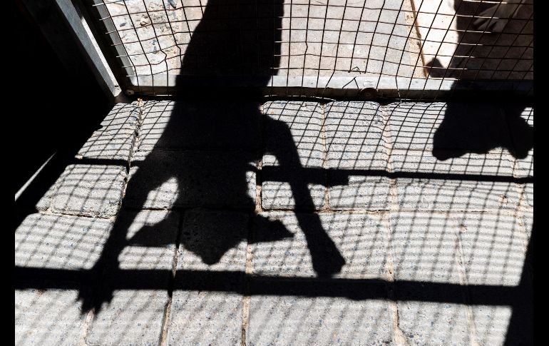 Un perro abandonado espera en su cubil en la clínica de animales Mdzananda en Ciudad del Cabo, Sudáfrica. Centros como éste aumentan sus ingresos después de las fechas navideñas. EFE/N. Bothma