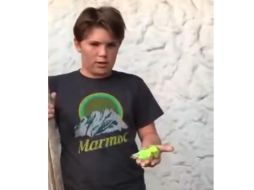 El niño comienza a entonar cánticos religiosos a la par que cava el agujero donde depositaría al periquito australiano, pero un perro aparece en escena y decide comérselo ante la sorpresa de su dueño. YouTube / unacuenta paraelcelu