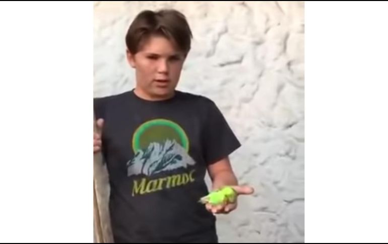 El niño comienza a entonar cánticos religiosos a la par que cava el agujero donde depositaría al periquito australiano, pero un perro aparece en escena y decide comérselo ante la sorpresa de su dueño. YouTube / unacuenta paraelcelu