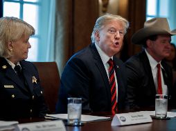 El plan de Trump para financiar el muro a través de una orden ejecutiva ha empezado a reunir apoyos entre los miembros de su partido. EFE/S. Thew