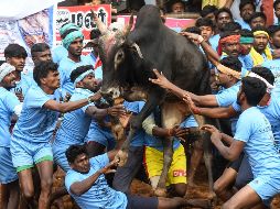 El mundo en imágenes del 16 de enero de 2019