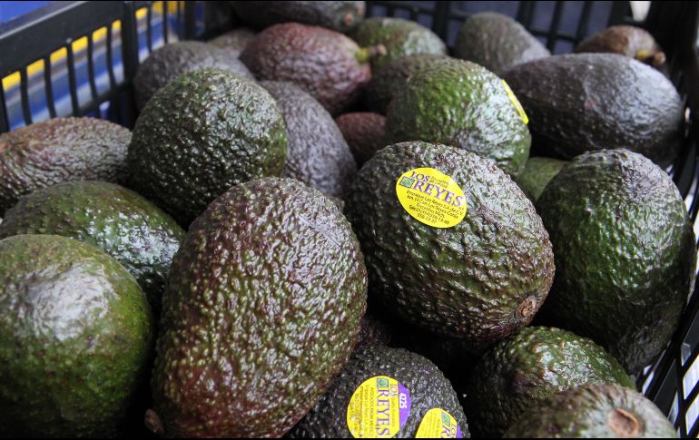 Para esta semana se tiene contemplada la salida de unos 216 embarques diarios que tendrán impacto directo en las ventas de guacamole que se hagan en el gran juego. EL INFORMADOR / ARCHIVO