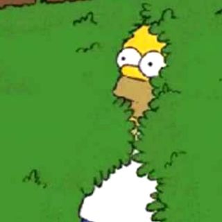 "Homero Simpson" utiliza su propio meme y las redes enloquecen