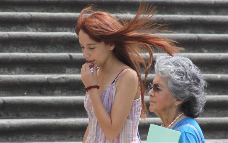 El tiempo estará templado durante el día, fresco por la noche y frío al amanecer, con una temperatura mínima de 12 grados y máxima de 20 grados centígrados. EL INFORMADOR / ARCHIVO