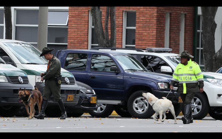 Binomios caninos inspeccionan los alredores.
