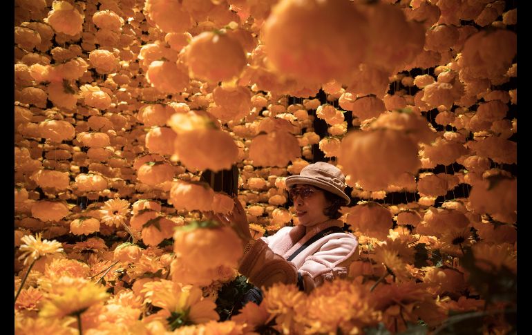 Una mujer hace fotos de la instalación artística 