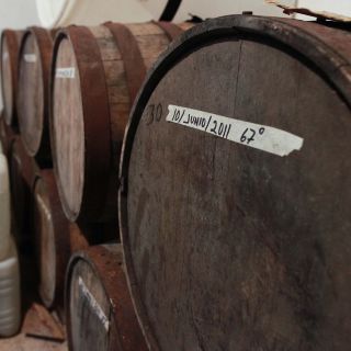 Registran Raicilla con denominación de origen