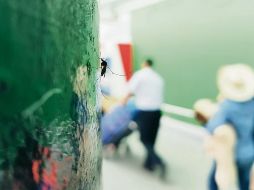 Aún en la temporada de frío, los moscos siguieron propagándose y la enfermedad también. EL INFORMADOR / A. Camacho