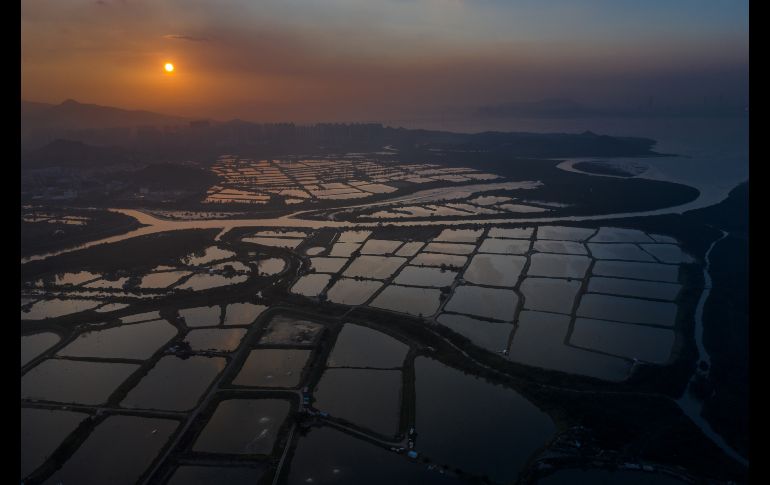 El fotógrafo de AFP, Dale de la Rey, se dedicó tres meses a tomar imágenes con un dron de los lugares más remotos de la ciudad. Un área de cultivos. AFP/D. de la Rey