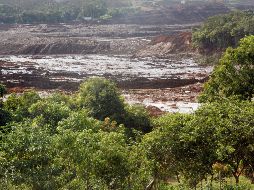 Vista del desastre causado por la rotura de una represa que contenía residuos minerales de la compañía Vale este viernes en el barrio Casa Blanca. EFE/P. Fonseca