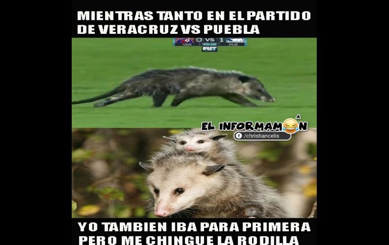 Los memes que dejó la J4 del futbol mexicano