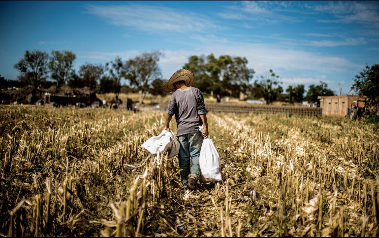 Con el crecimiento en el periodo de octubre a diciembre de 2018, suman 36 trimestres al alza en su comparación anual, de acuerdo con datos estadísticos. EL INFORMADOR / ARCHIVO
