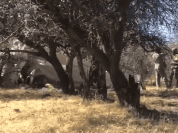 El consejero presidente del INE, Lorenzo Córdova, expresó en un mensaje en Twitter el sentir de la comunidad electoral. TWITTER / @RuidoEnLaRed