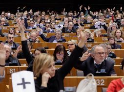 La Eurocámara pide a la Alta Representante para la política exterior, Federica Mogherini, que haga lo mismo en nombre de la Unión Europea. EFE/S. Lecocq