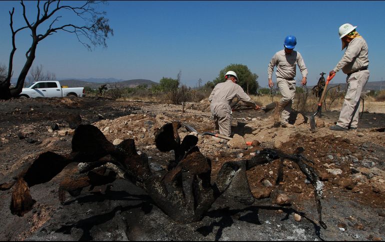 Los estados que han recuperado ventas en los últimos días son Ciudad de México, Estado de México, Jalisco y Michoacán. Sin embargo, Guanajuato, Hidalgo y Querétaro aún no se normalizan las ventas y el abasto. NTX / ARCHIVO