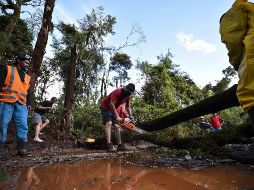 Bomberos y voluntarios cortan los árboles derrumbados, tras la ruptura de un dique de una represa del gigante minero Val. EFE/Y. Edmundo