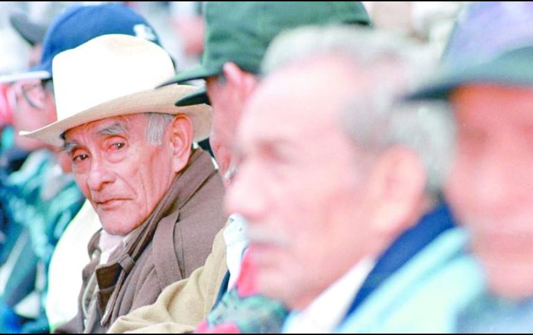 Si al pensionado se le ha suspendido en más de dos ocasiones su pago por concepto de pensión a lo largo del año podría ser indicativo de una falta de actualización de datos ante la institución. EL INFORMADOR / ARCHIVO