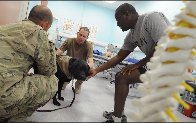 Estados Unidos mantiene unos cinco mil 200 soldados en Iraq que se encuentran en una decena de bases militares. AFP/Archivo