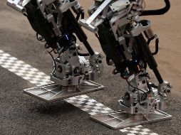 El robot fue dotado de la habilidad para modelarse sin un conocimiento previo de su físico o su propia forma. AFP/ARCHIVO