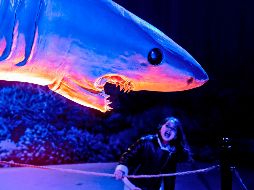 El mundo en imágenes del 6 de febrero de 2019