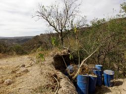  Tras ello, precisaron, se encontraron dentro de los tambos cuatro mil 860 bolsas transparentes, las cuales contienen en su interior dicha cantidad de la citada droga.  EL INFORMADOR/ ARCHIVO