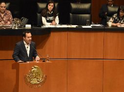 La iniciativa contempla un procedimiento específico, expedito y de fácil acceso para presentar las denuncias y acceder a las medidas de protección. ESPECIAL/