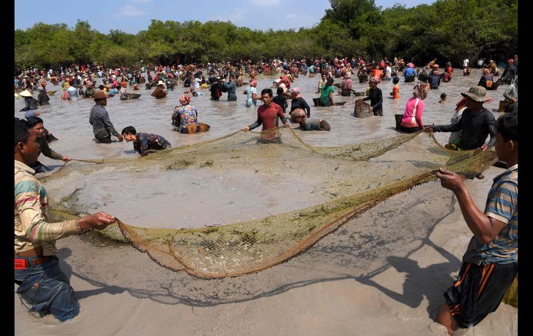 Camboyanos sostienen una red durante la ceremonia anual de pesca en Tboung Khmum, Camboya, en la cual se utilizan solamente herramientas tradicionales. AFP/T. Chhin Sothy